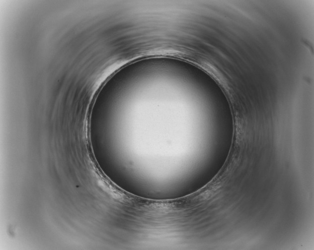 X0000102501044200808151516