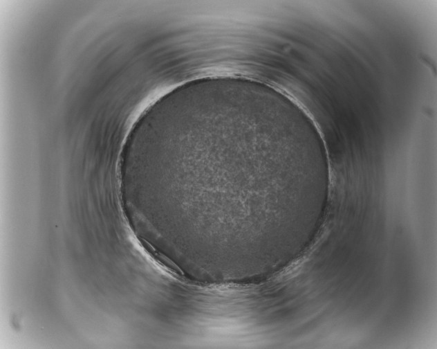 X0000102501045200808151516