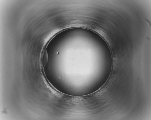 X0000102501046200808151516