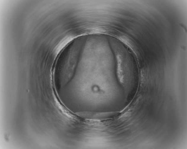 X0000102501047200808151516