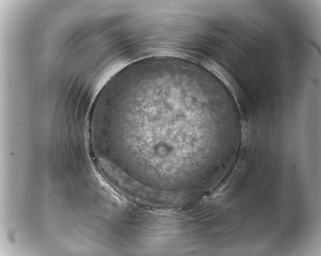 X0000102501048200808151516