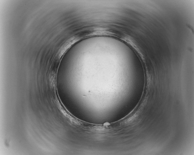 X0000102501049200808151516