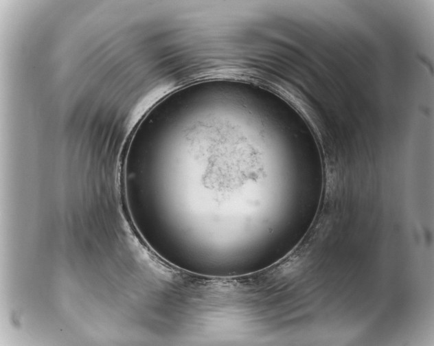 X0000102501050200808151516