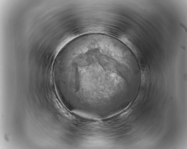 X0000102501052200808151516