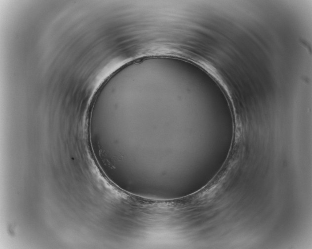 X0000102501053200808151516