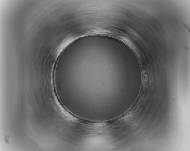 X0000102501055200808151516