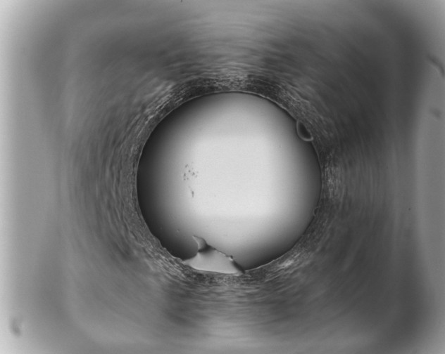 X0000102501057200808151515