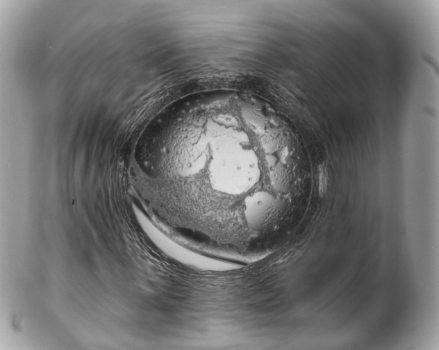 X0000102501059200808151515