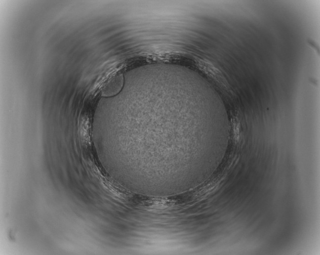 X0000102501060200808151515