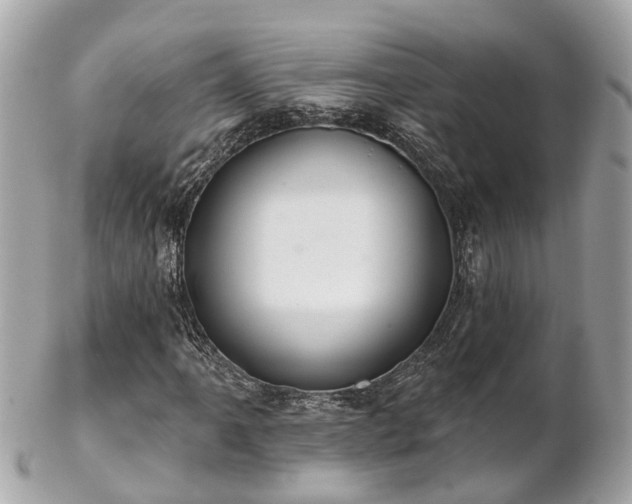 X0000102501061200808151515