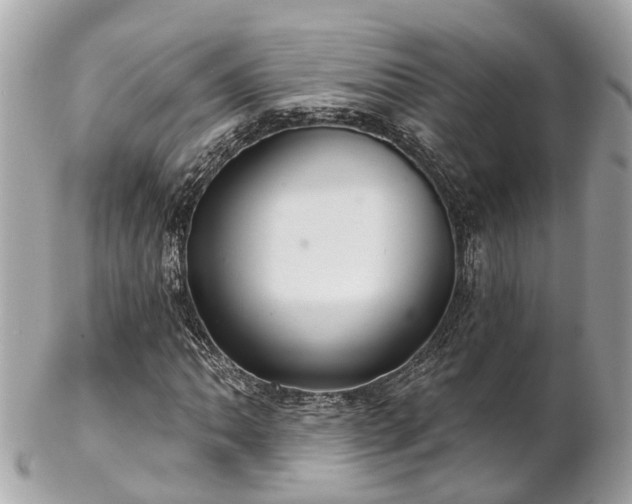 X0000102501062200808151515