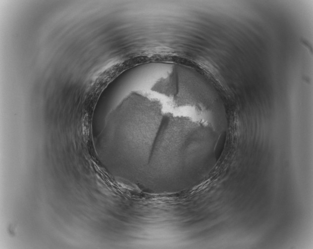 X0000102501063200808151515