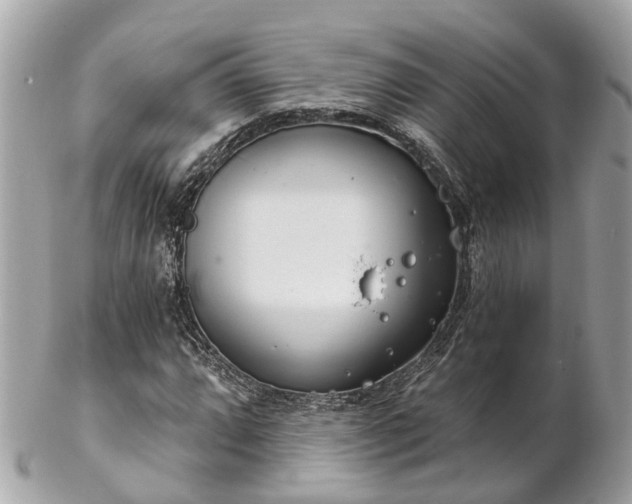 X0000102501064200808151515