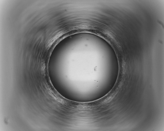 X0000102501065200808151515