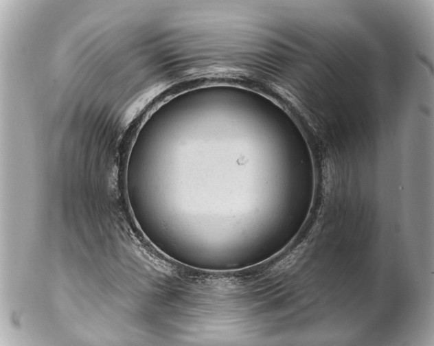 X0000102501066200808151515