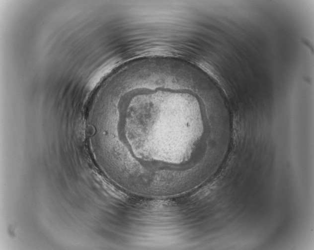 X0000102501067200808151515