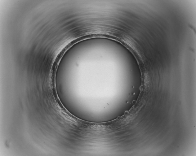 X0000102501068200808151515