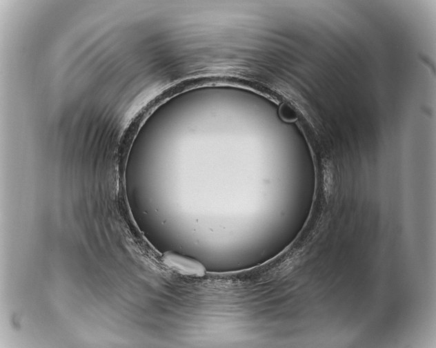 X0000102501069200808151515