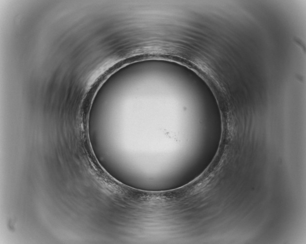 X0000102501070200808151515