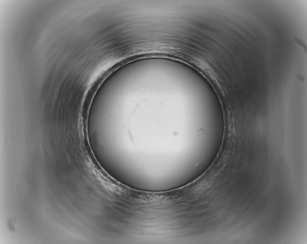 X0000102501072200808151515