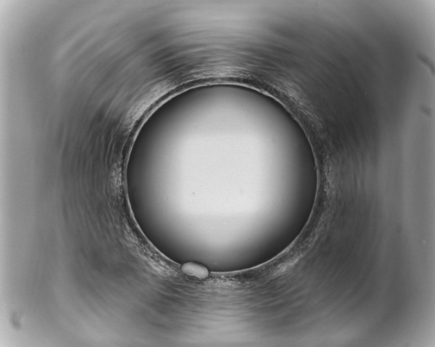 X0000102501073200808151515