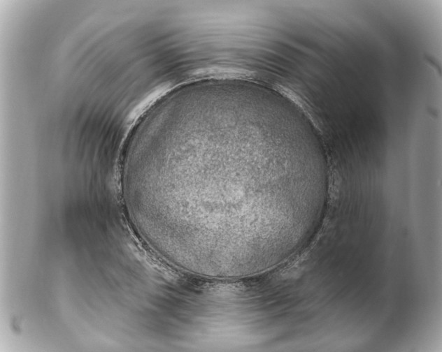 X0000102501074200808151515