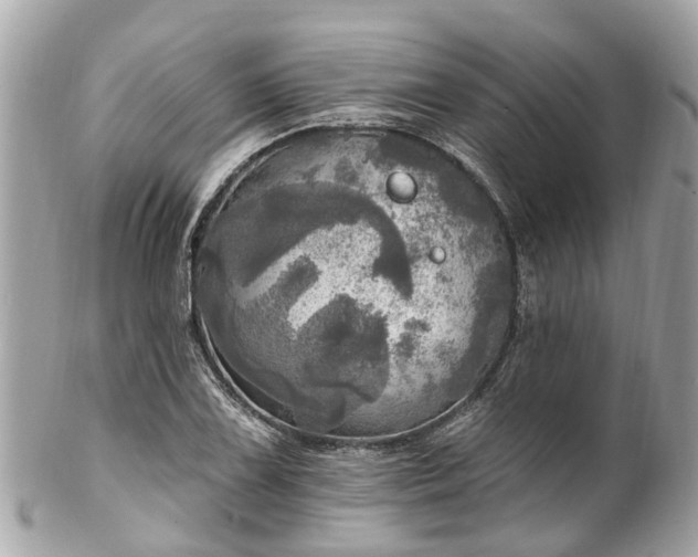 X0000102501075200808151515