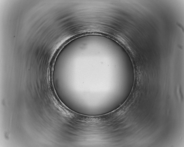 X0000102501076200808151515