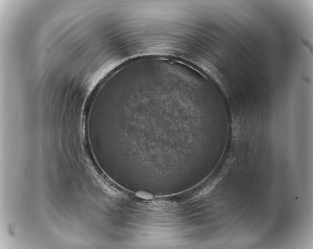 X0000102501077200808151515