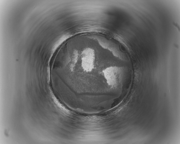 X0000102501079200808151515