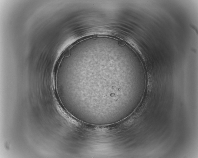 X0000102501080200808151515