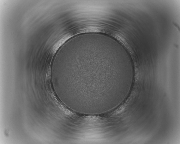 X0000102501081200808151515