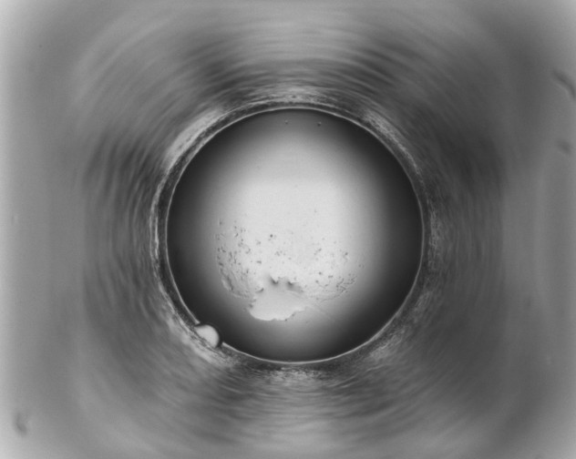 X0000102501082200808151515