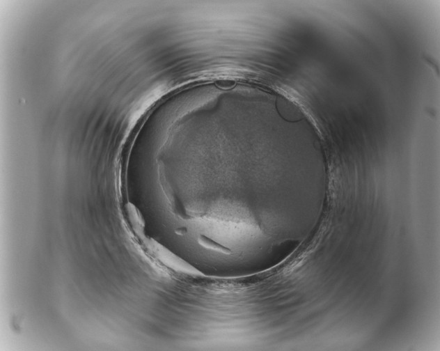 X0000102501083200808151515