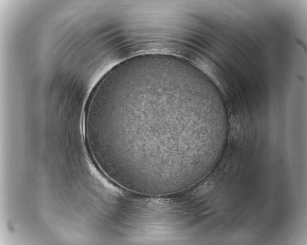 X0000102501084200808151515