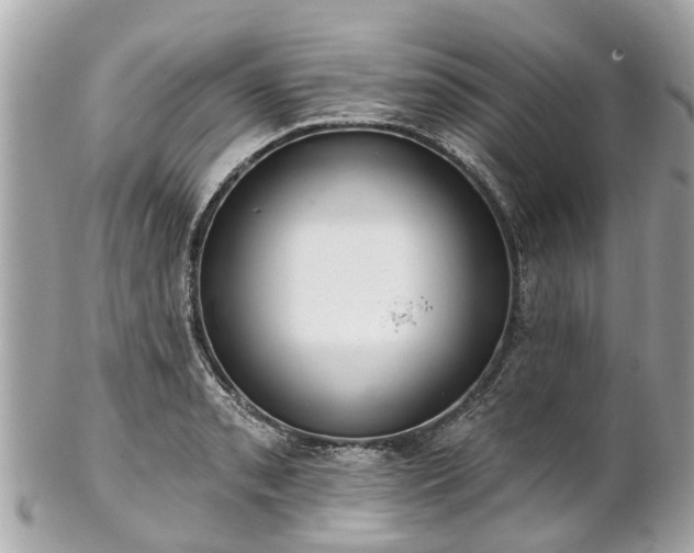 X0000102501085200808151515