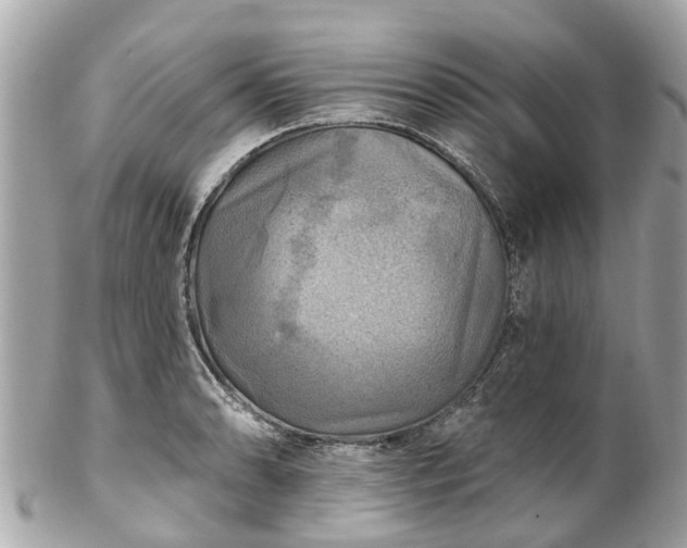 X0000102501086200808151515