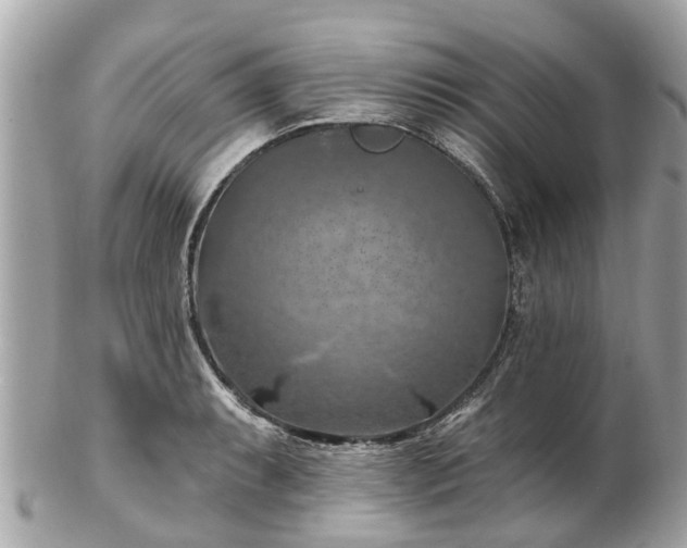 X0000102501087200808151515