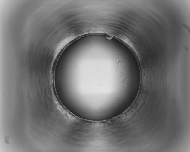 X0000102501088200808151515