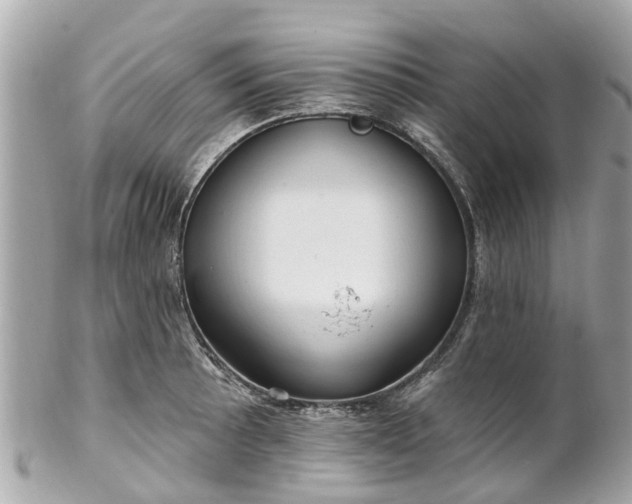 X0000102501089200808151514