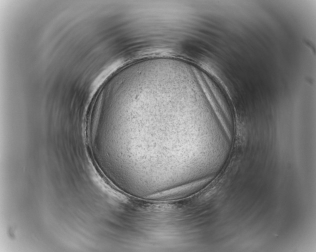 X0000102501090200808151514