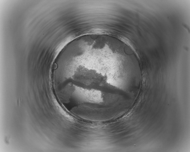 X0000102501091200808151514