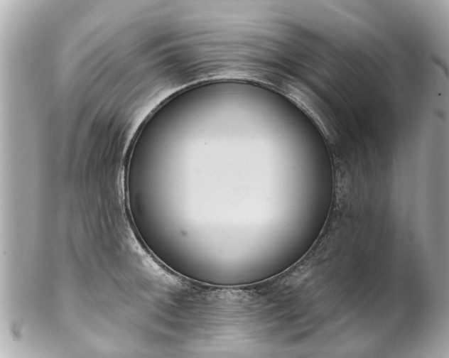 X0000102501092200808151514