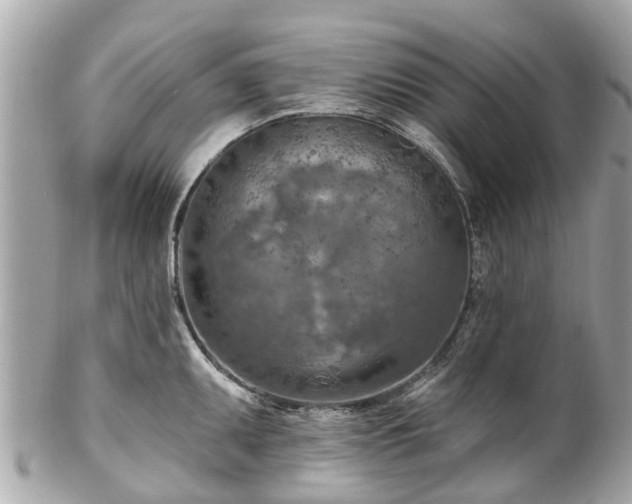 X0000102501095200808151514