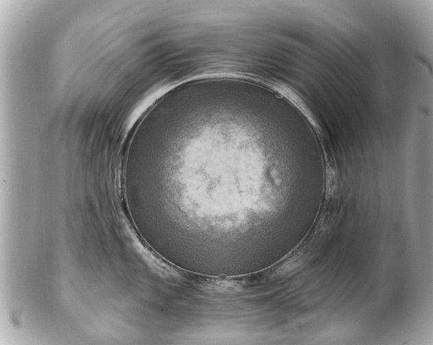 X0000102501101200808151514