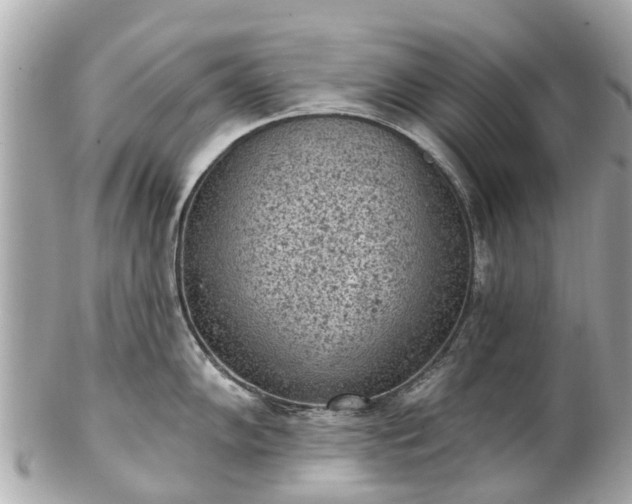 X0000102501102200808151514