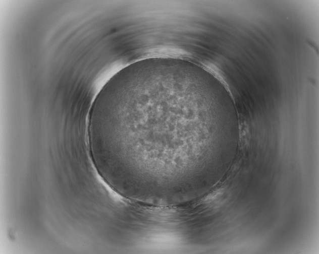 X0000102501103200808151514