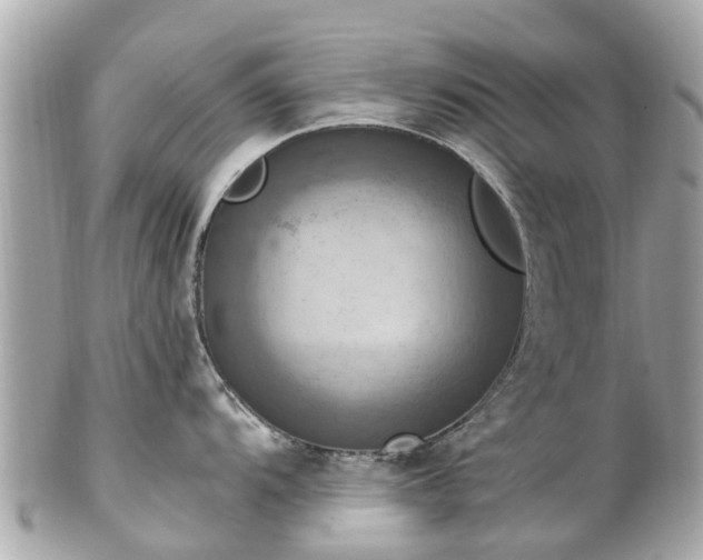 X0000102501104200808151514