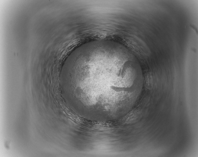 X0000102501105200808151514