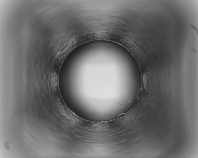 X0000102501107200808151514